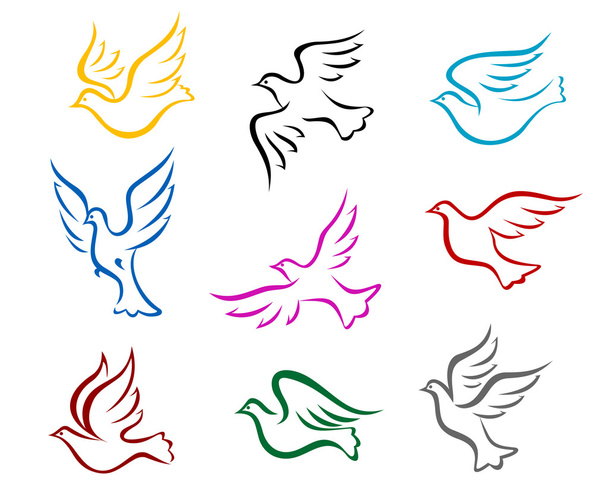 Pideons and doves - Vector, Image