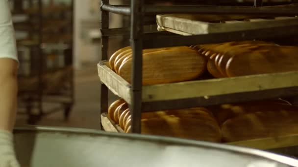 Manufacture of bakery products. - Footage, Video