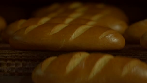Ψωμί στο φούρνο. Παραγωγή ψωμιού από το φούρνο. - Πλάνα, βίντεο