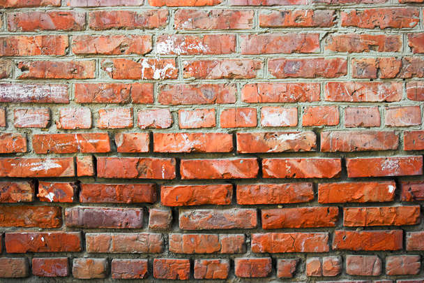Old brick wall half weathered - Фото, зображення