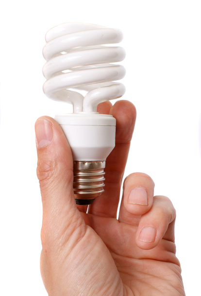 Electric bulb in a hand - 写真・画像