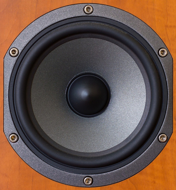 Wooden mid-tones speaker - Fotó, kép