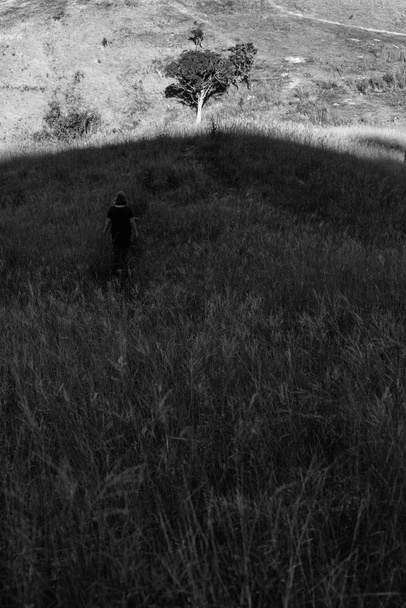 牧草地、黒と白の間で立っているだけで女性. - 写真・画像