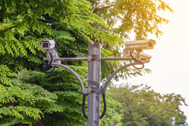 Security camera for monitoring events in urban garden. - 写真・画像