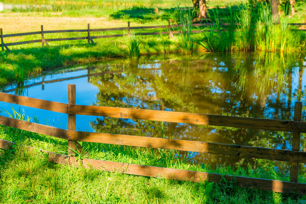 красивый застойный пруд, окруженный деревянным забором
 - Фото, изображение