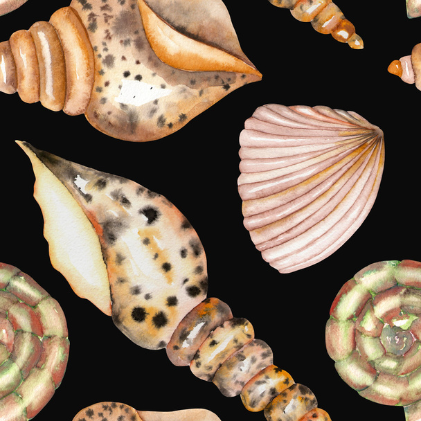 Un patrón con las conchas de acuarela
 - Foto, Imagen