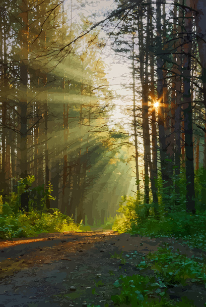 Krásný východ slunce v lese - Vektor, obrázek