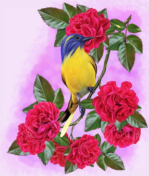 Yellow tit on a branch of a red rose - Foto, Imagen