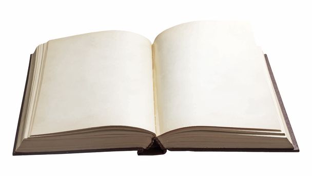 blank open book - Vector, Image