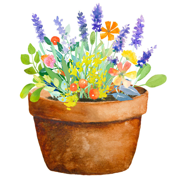 Watercolour jug with flowers - Фото, зображення