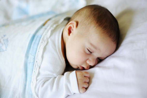 Маленький симпатичный двухмесячный малыш
 - Фото, изображение