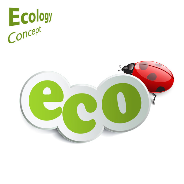 etiqueta ecológica con una mariquita en el fondo
 - Vector, imagen