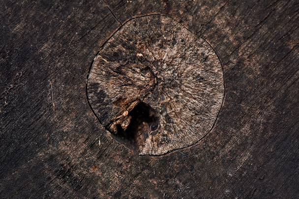 old wood texture - 写真・画像