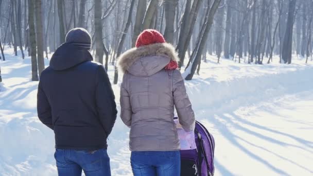Gelukkige jonge familie wandelen in het park in de winter - Video