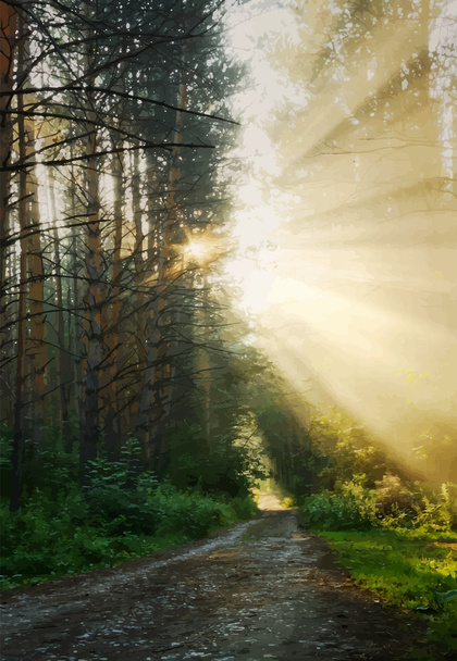森の中の美しい日の出 - ベクター画像