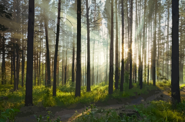 Krásný západ slunce v lese - Vektor, obrázek