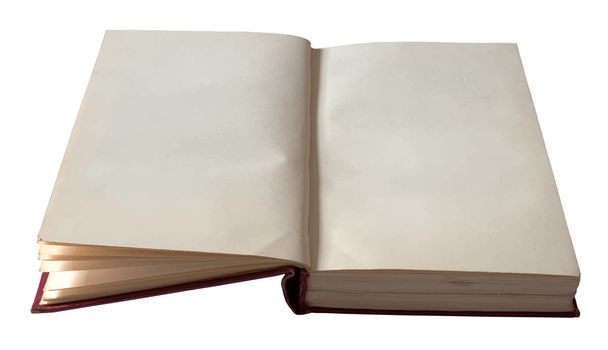 Libro abierto en blanco - Vector, imagen