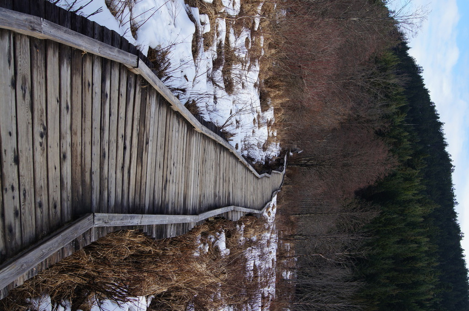 Деревянная дорожка - Фото, изображение