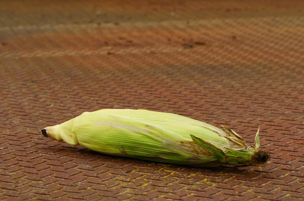 Oreille de maïs
 - Photo, image