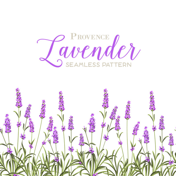Wreath of lavender flowers. - Vector, Image