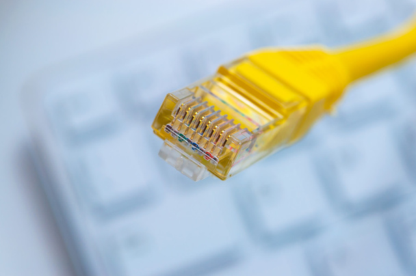 Macro d'un câble réseau jaune
 - Photo, image