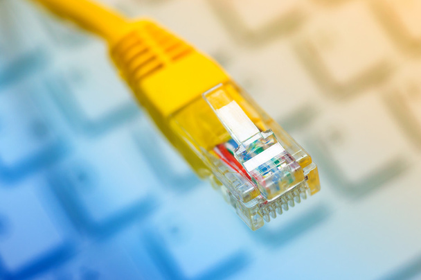 Makro kabla sieciowego żółty - Zdjęcie, obraz