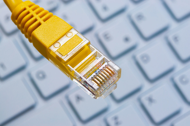 Makró a sárga hálózati kábel - Fotó, kép