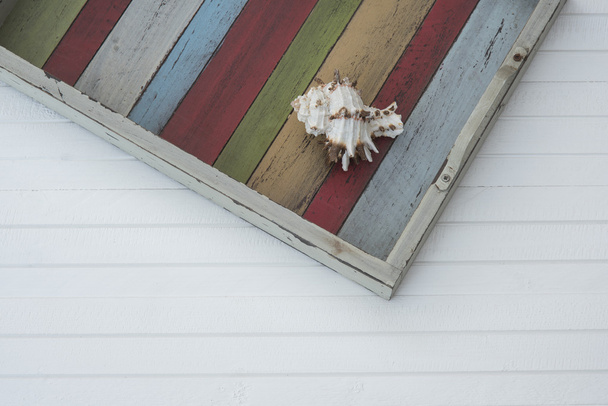 Shell on the coloured plank - Photo, Image