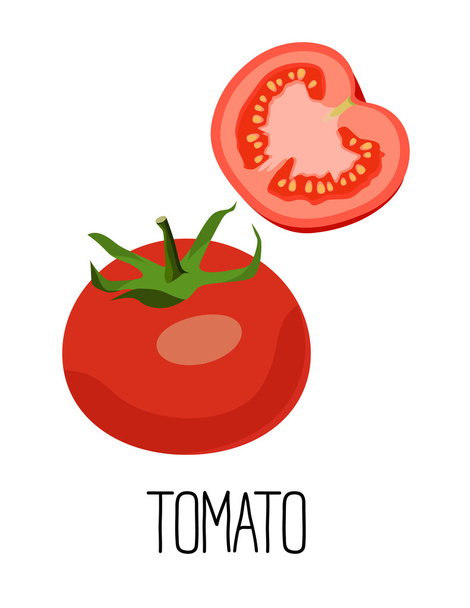 Tomato isolated on white background - Vector, Image