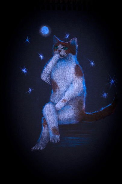 cat under the moon - Photo, image