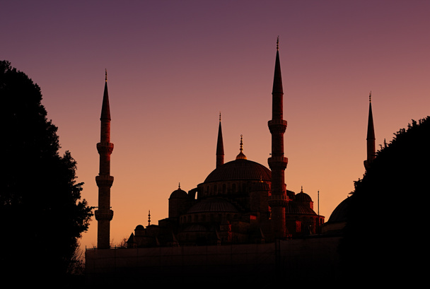 μπλε τζαμί στην Κωνσταντινούπολη, γαλοπούλα - Φωτογραφία, εικόνα