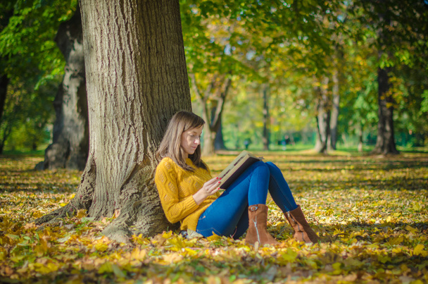 Szép asszony ült, és az őszi park könyv olvasó - Fotó, kép