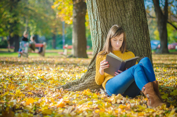 Kitap sonbahar parkta oturan güzel kadın ve okuma - Fotoğraf, Görsel