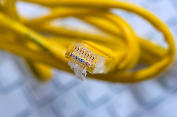 Macro de un cable de red amarillo
 - Foto, Imagen