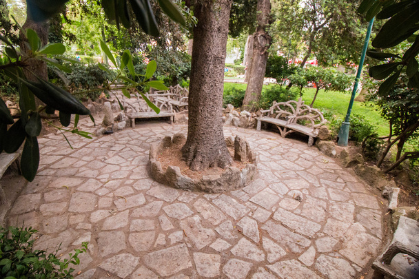 krásná zahrada Alameda - Fotografie, Obrázek