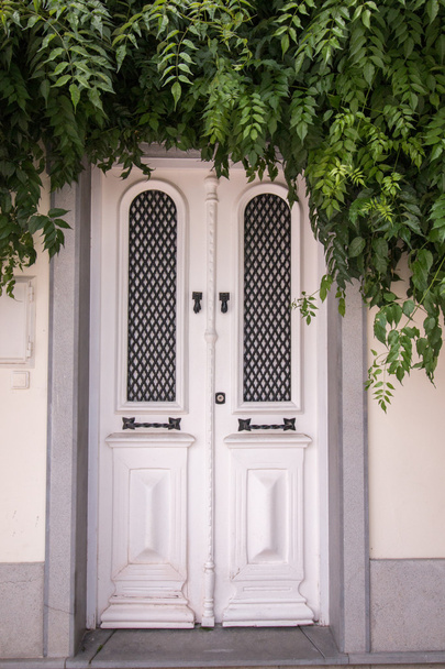 Beyaz ahşap kapı - Fotoğraf, Görsel