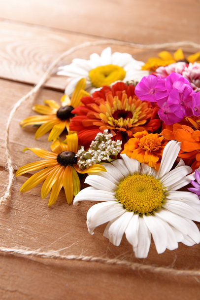 taze renkli çiçekler  - Fotoğraf, Görsel