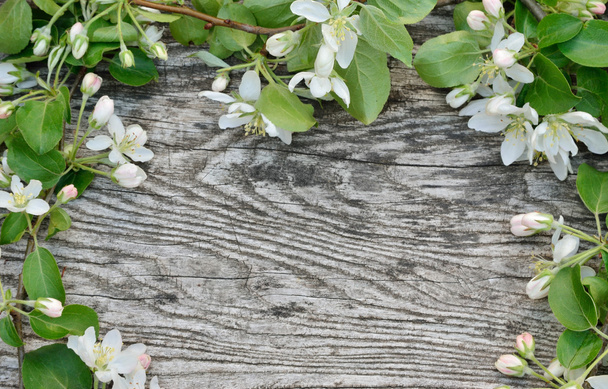 Rama wiosna kwiatów na tle drewniane - Zdjęcie, obraz