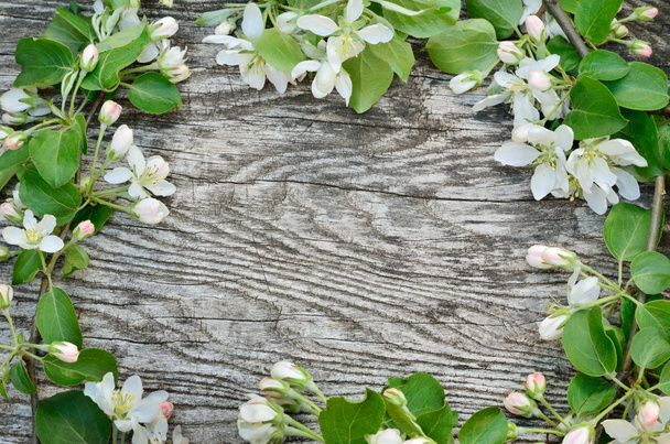 Frame of spring flowers on a wooden background - Photo, Image