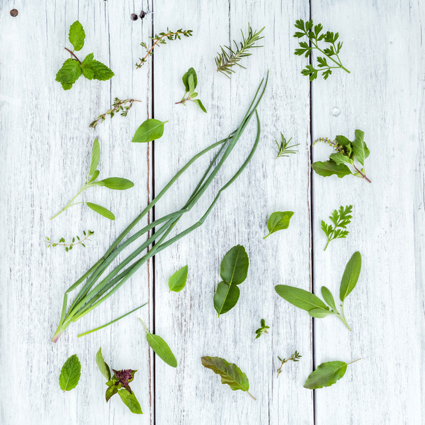 Various fresh herbs from the gardenb - Foto, afbeelding