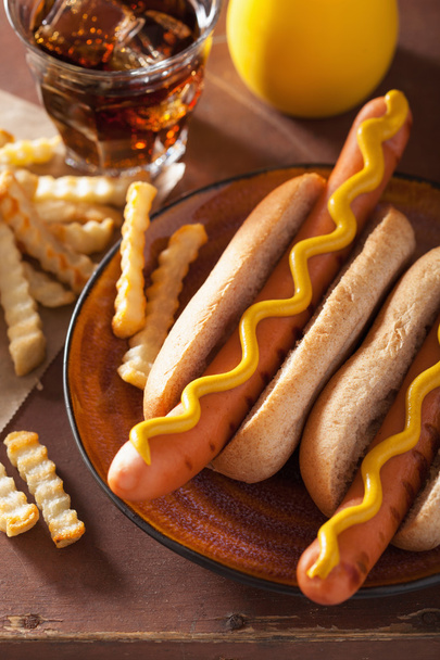 cachorros-quentes grelhados com mostarda e batatas fritas
 - Foto, Imagem