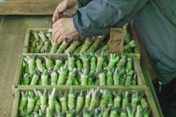 Radice di wasabi in vendita in un tipico mercato giapponese
 - Foto, immagini