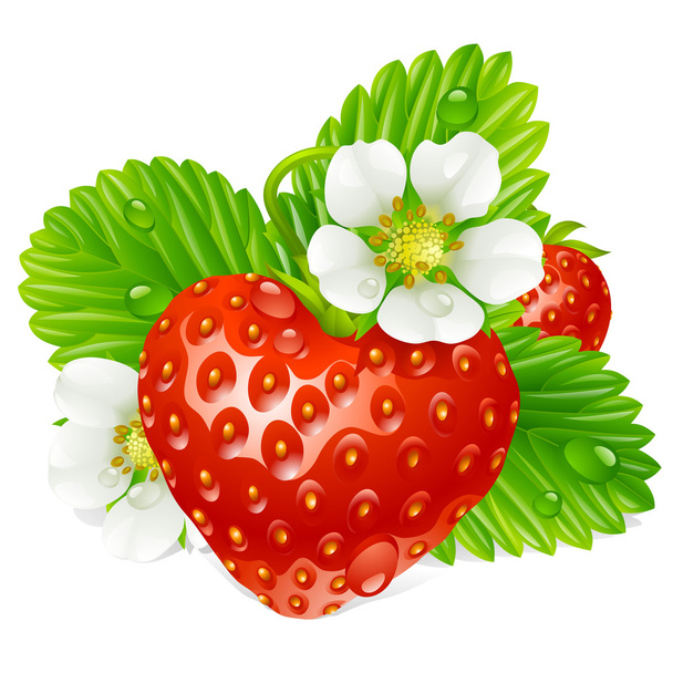 Vector strawberry in the shape of heart and white flowers - Vector, afbeelding