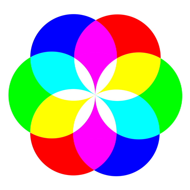 Flower of colors - Фото, изображение