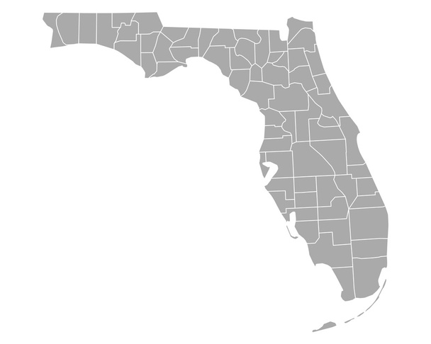 Tarkka kartta Florida
 - Vektori, kuva