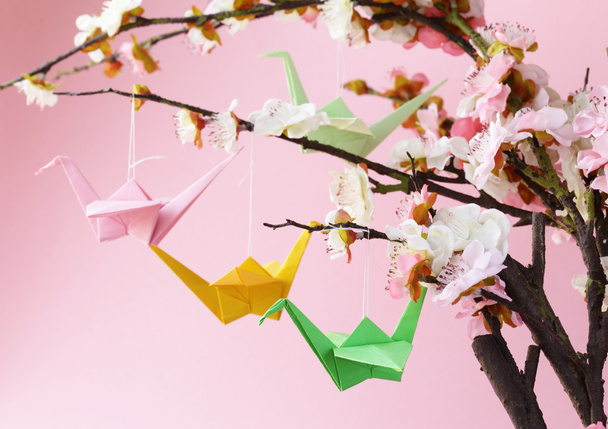 bunte Origami-Vögel aus Papier auf blühenden Kirschzweigen (Sakura)) - Foto, Bild