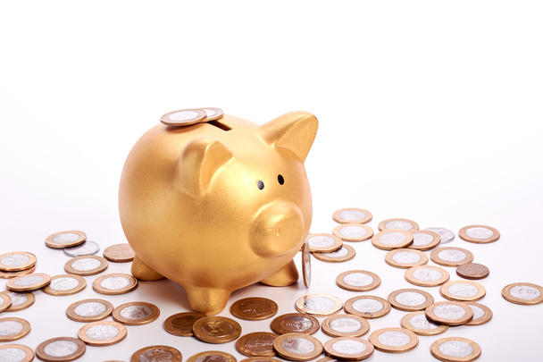 Goldenes Sparschwein mit Ersparnissen in Münzen - Foto, Bild