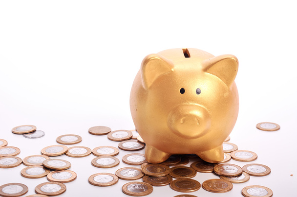 Goldenes Sparschwein mit Ersparnissen in Münzen - Foto, Bild