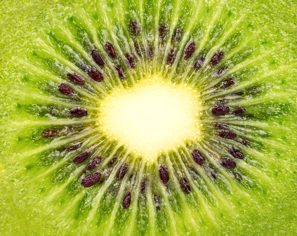 Background of half kiwi - Foto, afbeelding