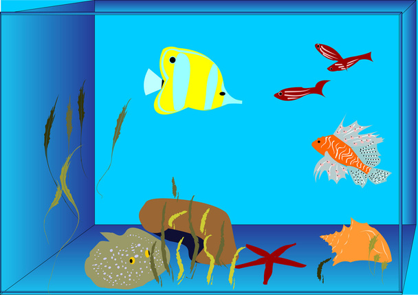 Tropical fish aquarium - Vector, Image